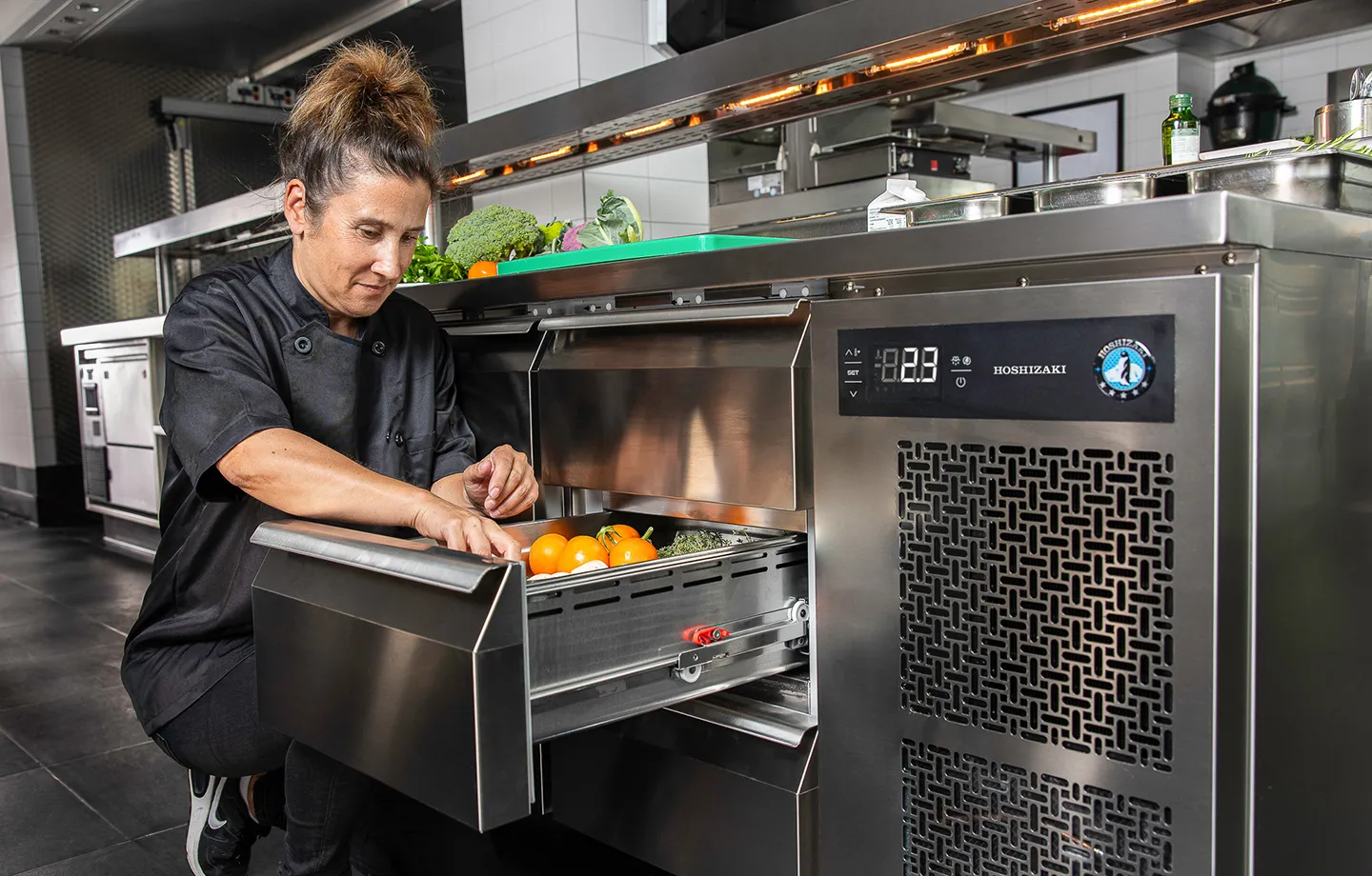 Hoshizaki freezer counter range